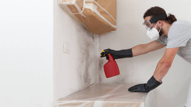 Professional Mold Remediation technician working in Hickory Corners, MI