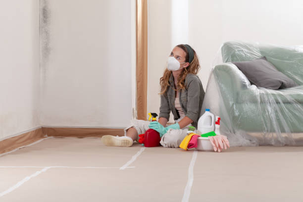 Reliable Mold Remediation contractor in Hickory Corners, MI by Mold Remediation HQ